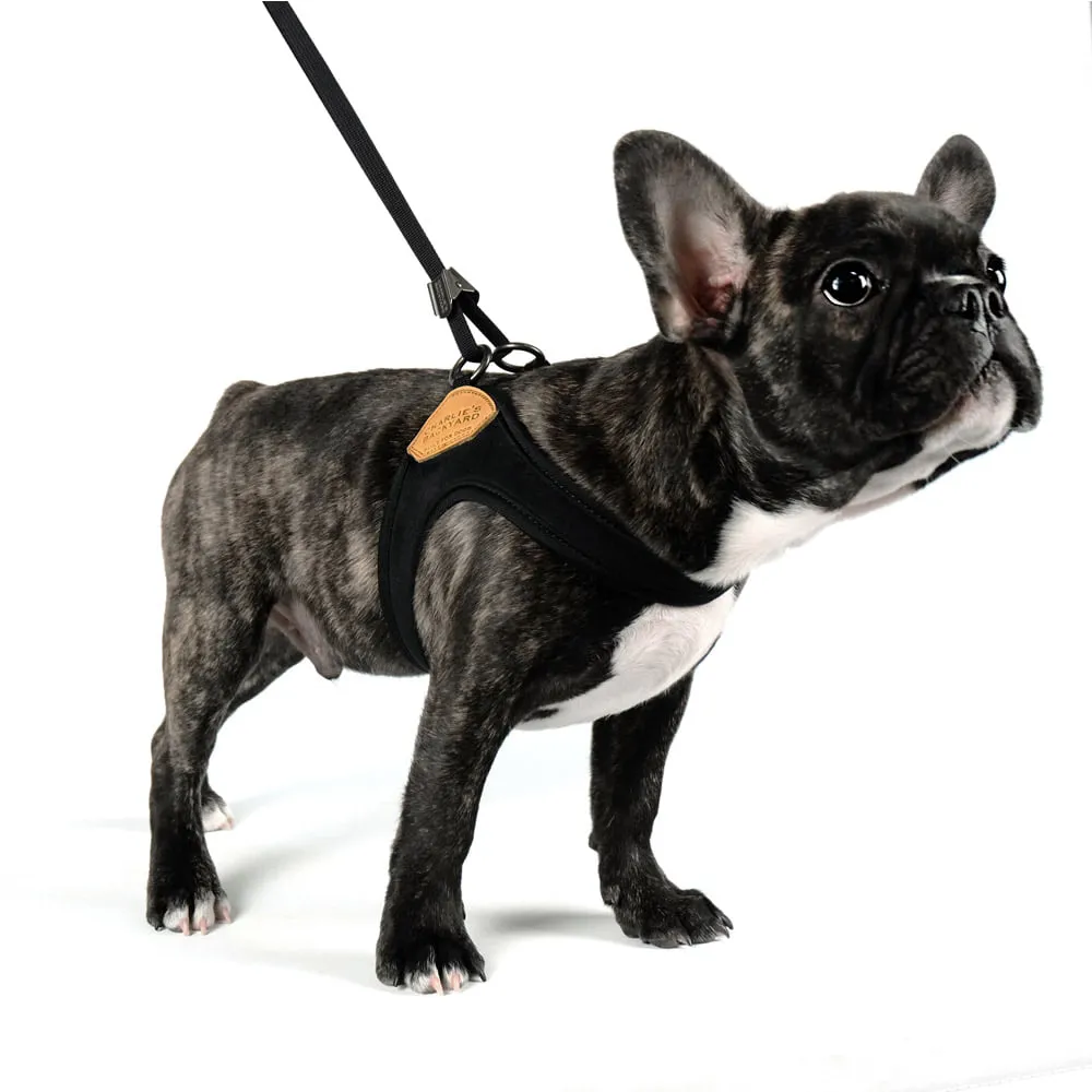 Adjustable Easy Dog Harness in Black