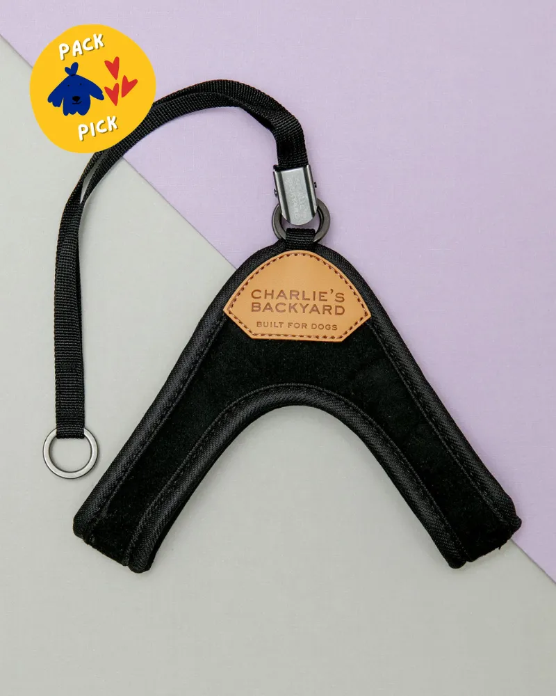 Adjustable Easy Dog Harness in Black