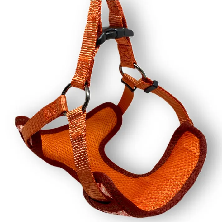 Collie-Flower Harness