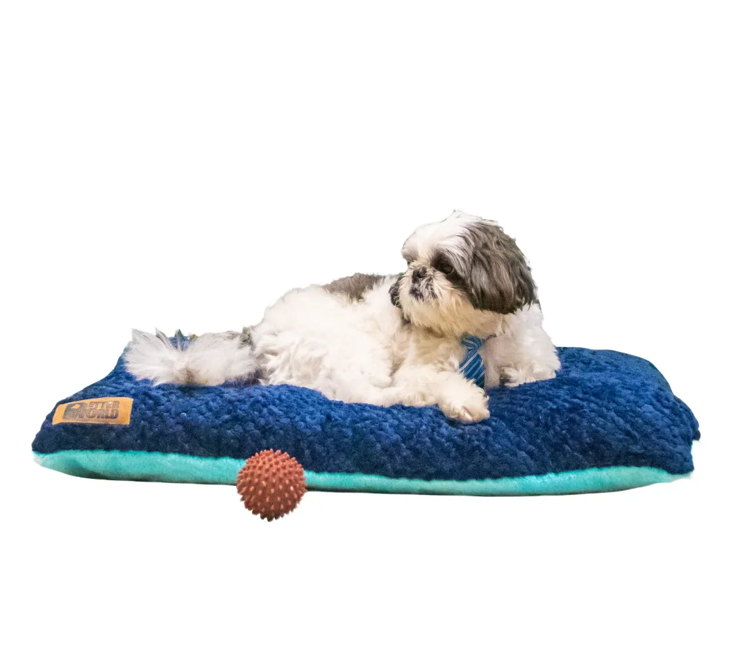 Petter World Luxury Reversible Chopped Foamed Pillow Bed with Soft Fur for Dogs (Turquoise)